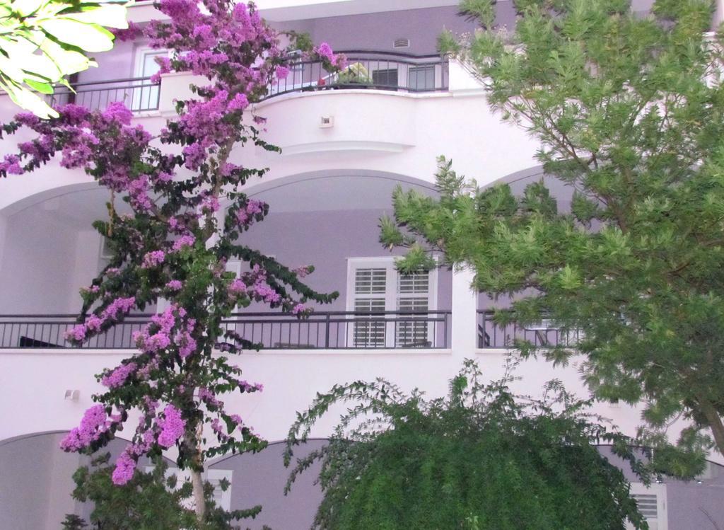 Apartment Andrijasevic